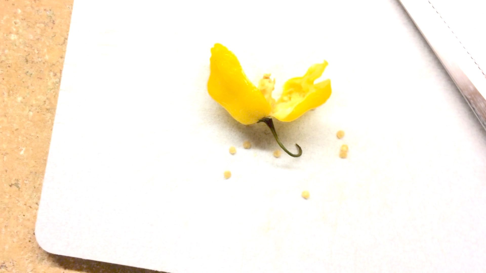 Can You Germinate Seeds from a Frozen Pepper?