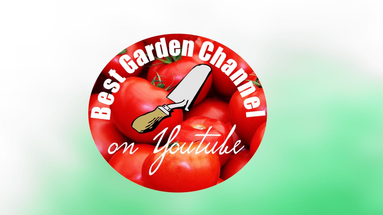 More Seeds with More Watch Time