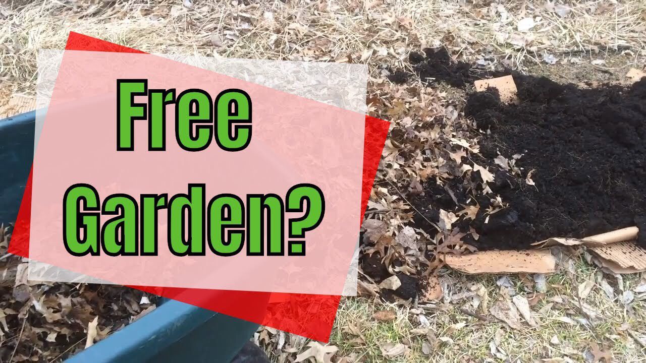 Jumpstart a Spring Garden Bed in the Fall