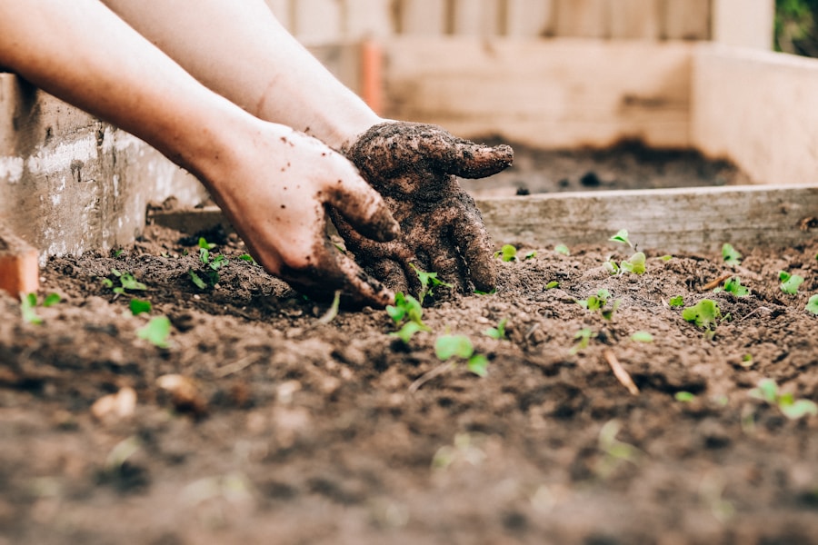 Unlock the Secret to Abundant Harvests with Companion Planting: A Beginner’s Guide