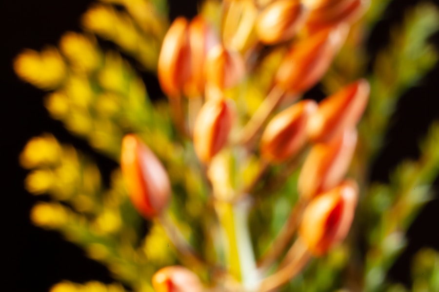 From Spring to Winter: The Ultimate Guide to Perennials for Year-Round Color