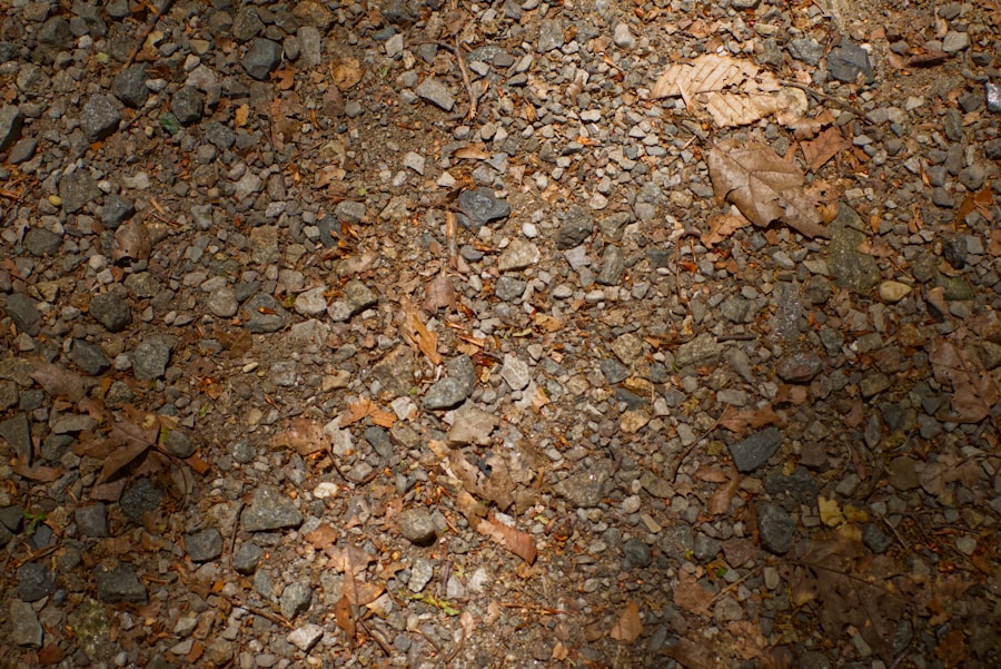 From Drab to Fab: Easy DIY Garden Path Ideas for Instant Curb Appeal