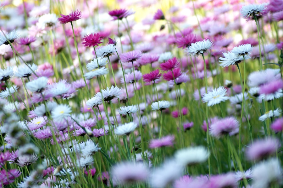 Elevate Your Garden Game: The Ultimate List of Native Plants for Your Area