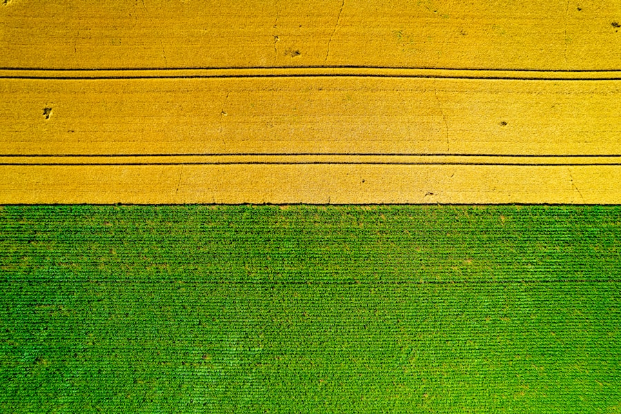 From Ancient Wisdom to Modern Innovation: Exploring the Science of Crop Rotation