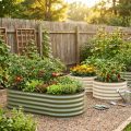 Best Raised Garden Beds for Beginners (2026 Guide)