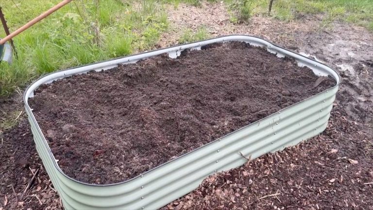 VegoGarden Spring Deal — Exclusive Discount Codes