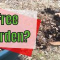 How to Build a Spring Garden Bed in the Fall (for free)